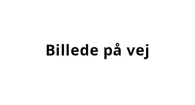 billedepåvej